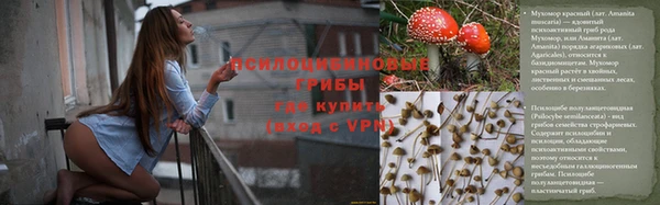 apvp Медногорск
