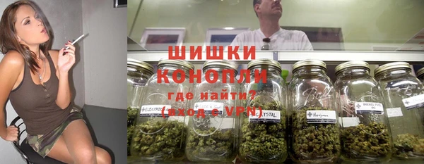 apvp Медногорск
