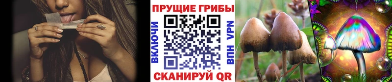 мега ссылка  Яблоновский  Псилоцибиновые грибы Magic Shrooms  где найти наркотики 